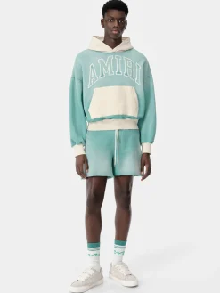 AMIRI VINTAGE COLLEGIATE SHORT